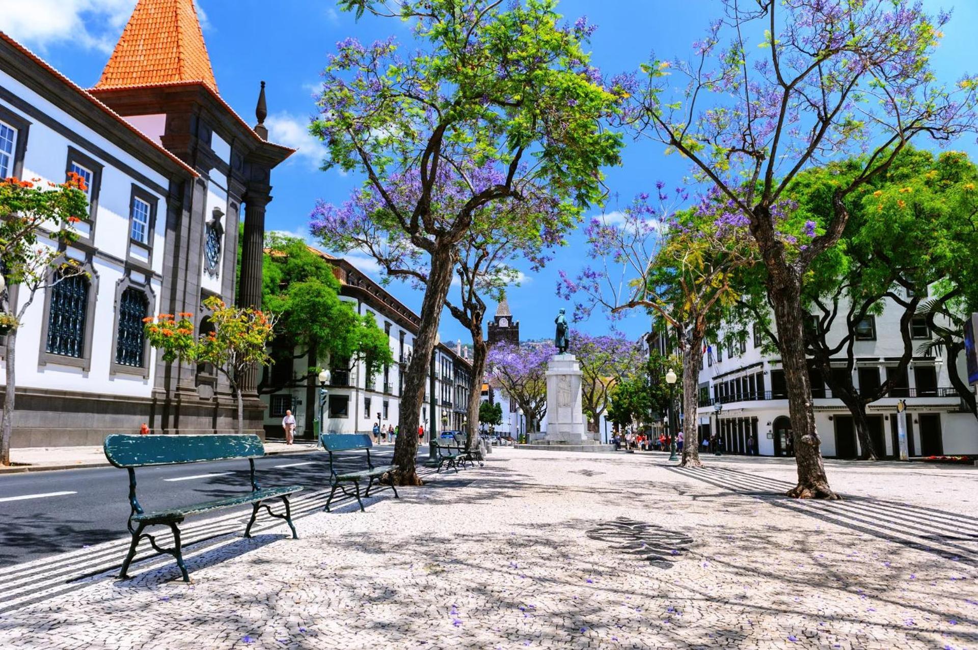 Stylish Apartment With Balcony And Amazing Views Over Funchal And The Sea Экстерьер фото